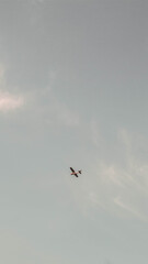 airplane flying in the sky