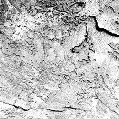 Obraz premium black and white abstract plaster wall grit grunge texture background