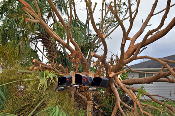 Hurricane Irma Florida (3)