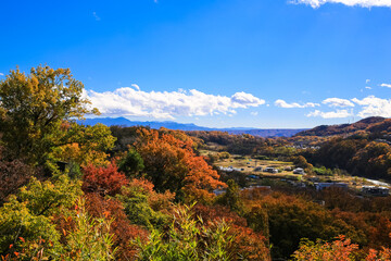 懐古園 富士見台からの眺め