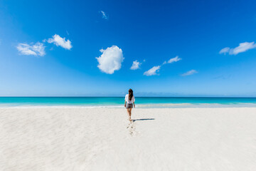 Woman back view relaxing on the sandy beach enjoying sunny day on the tropical caribbean island landscape with turquoise sea and blue sky 