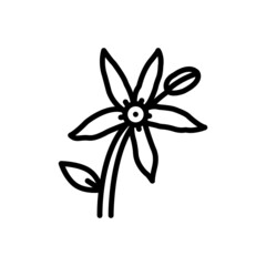 Black line icon for bluestar flower