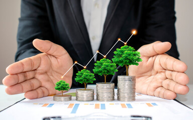 The green tree that is growing on coins increases in various forms, including the hands of business...