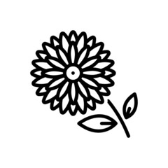 Black line icon for chrysanthemum