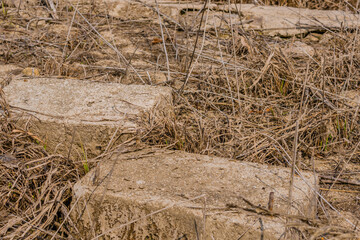 Building foundation in riverbed