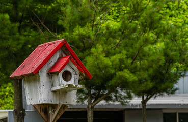 White birdhouse with red roof