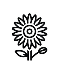 Black line  icon for ice plant flowers