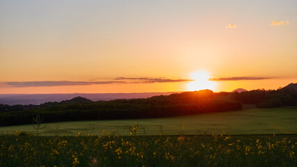 Red sunset in front of a forest trees. Rapeseed and wheat field in the foreground, small clouds can be seen. Stoetten, Germany.