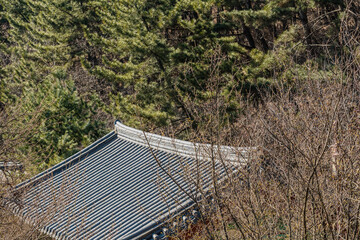 Tiled roof in woodland area
