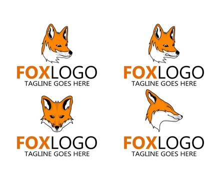 creative fox Animal Modern Simple Design Concept set logo design