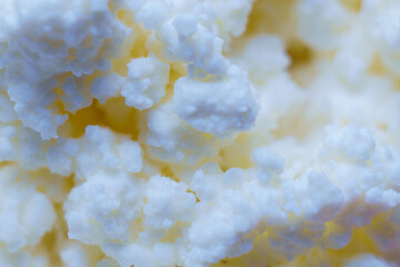 Close-up of cheese curd in a plate ready to eat