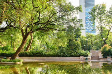 Awesome view of green trees reflected in water, Kowloon Park