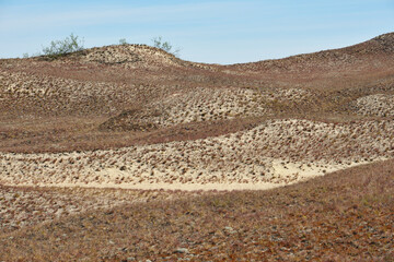 Sandy dunes. Curonian Spit, Lithuania