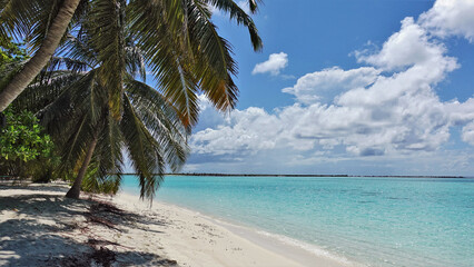 Fototapeta na wymiar Summer sunny day in the Maldives. The aquamarine ocean is calm, with picturesque clouds in the sky. Palm trees on a sandy beach leaned towards the water. Relax and happiness.