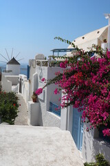 Naklejka premium Panoramiczny widok na Santorini, Grecja