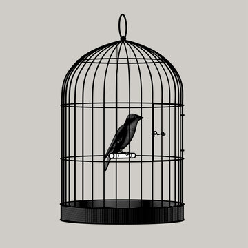 Engraved drawing of a bird sitting inside a cage