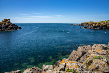 Fototapeta premium Yeu island ile d'yeu sauvage
