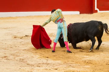 Fotobehang Bullfighter © M6