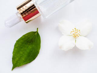 Jasmine essential oil (tincture, remedy, infusion). Glass bottle with fresh jasmine flowers on a white background. Flower essential oil. Phytotherapy. View from above