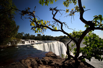 waterfall and tree © Andrea
