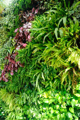  Planting flowers and small plants in plastic pots. It was hanged vertically like a vertical garden.