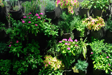  Planting flowers and small plants in plastic pots. It was hanged vertically like a vertical garden.