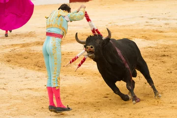 Möbelaufkleber Bullfighter © M6