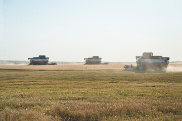 Naklejka premium Many combine harvesters working in agricultural field