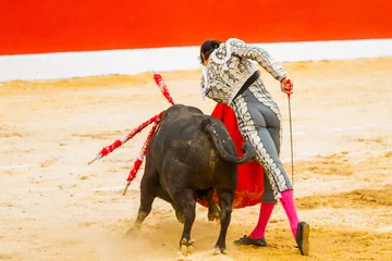 Fotobehang Bullfighter © M6