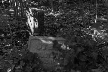 Old graves in a forest, old cemetery, graves no one cares about, overgrown graves, black and white photo, dark photo