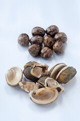 Rubber seed isolated on white background 
