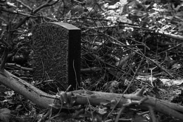 Old graves in a forest, old cemetery, graves no one cares about, overgrown graves, black and white photo, dark photo