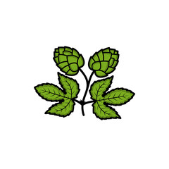 Hop set. Collection icon hops. Vector