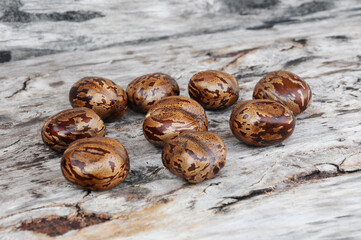 Rubber seed isolated on wood with texture background 
