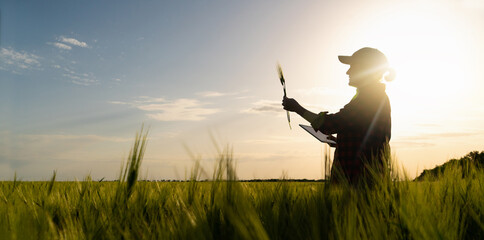 Farmer with digital tablet on a rye field. Smart farming and digital transformation in agriculture.	