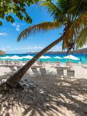 Group sun loungers for relaxation and sunbathing under umbrellas and palm tree on a sandy beach caribbean sea. Summer Vacation Travel Concept.
