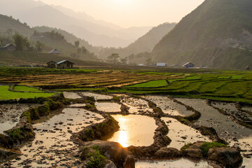 Rice terraces in Sapa