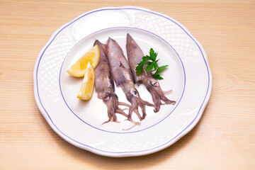 seafood, squid or cuttlefish on the white plate with parsley and lemon