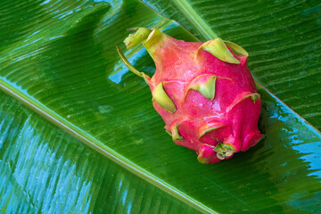Ripe dragon fruit on a wet green leaf. Vitamins, fruits, healthy foods
