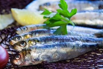 fresh sardines with parsley on the fishing net