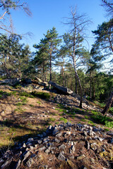 sandstone rock in the hill of the Fontainebleau forest