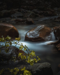 Charming Stream in Southern Austria