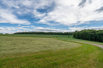 Trocknendes Heu in Landschaft