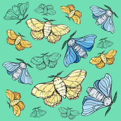 Fototapeta premium Hand draw illustration butterfly silkworm. Pattern for textil, wedding, beautiful background.