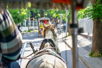 Back view of a traditional horse carriage (phaeton) riding tour with Buyukada view in sunny day. Buyukada is a neighbourhood in the Adalar (Islands) district of Istanbul Province, Turkey.