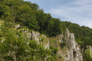 Trees on the slopes of the mountains. Blue cloudy sky.  