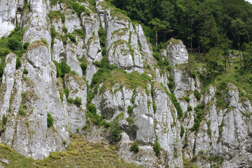 Trees on the slopes of the mountains. Blue cloudy sky.  