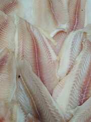 fresh fish in the market