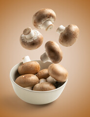 mushrooms flying on brown background