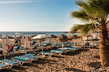 Fototapeta na wymiar Beach straw umbrellas and palm trees